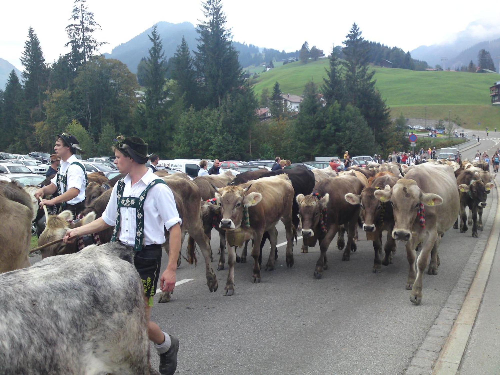 Schusterhof Bauernhof Mittelberg