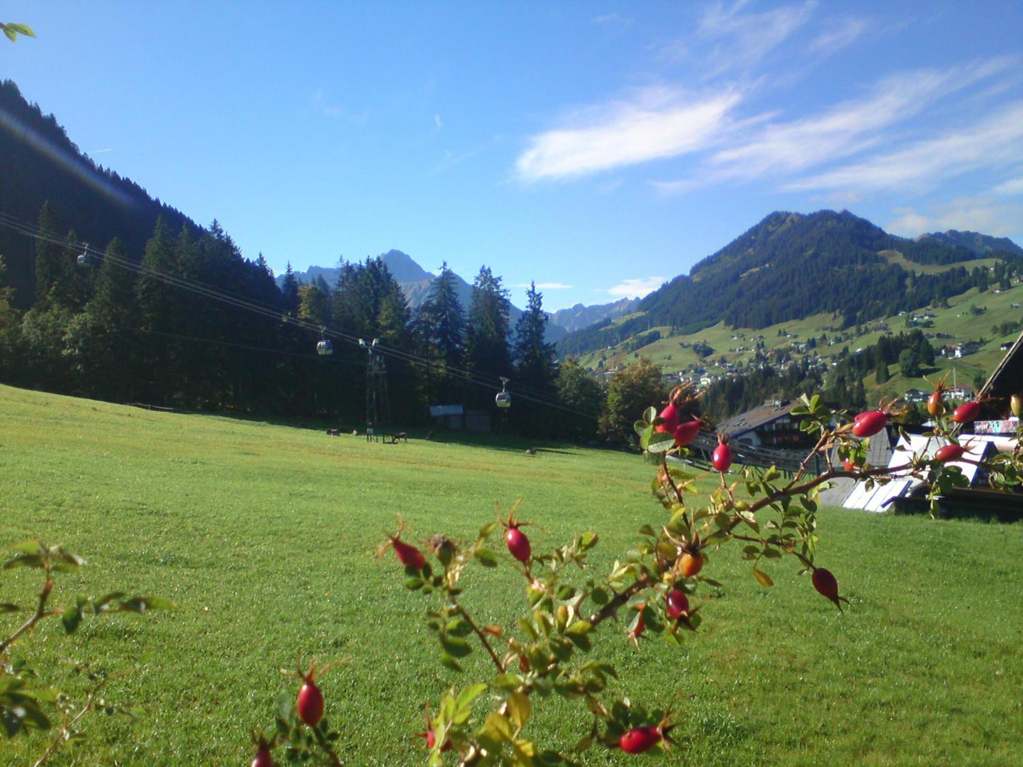Schusterhof *
