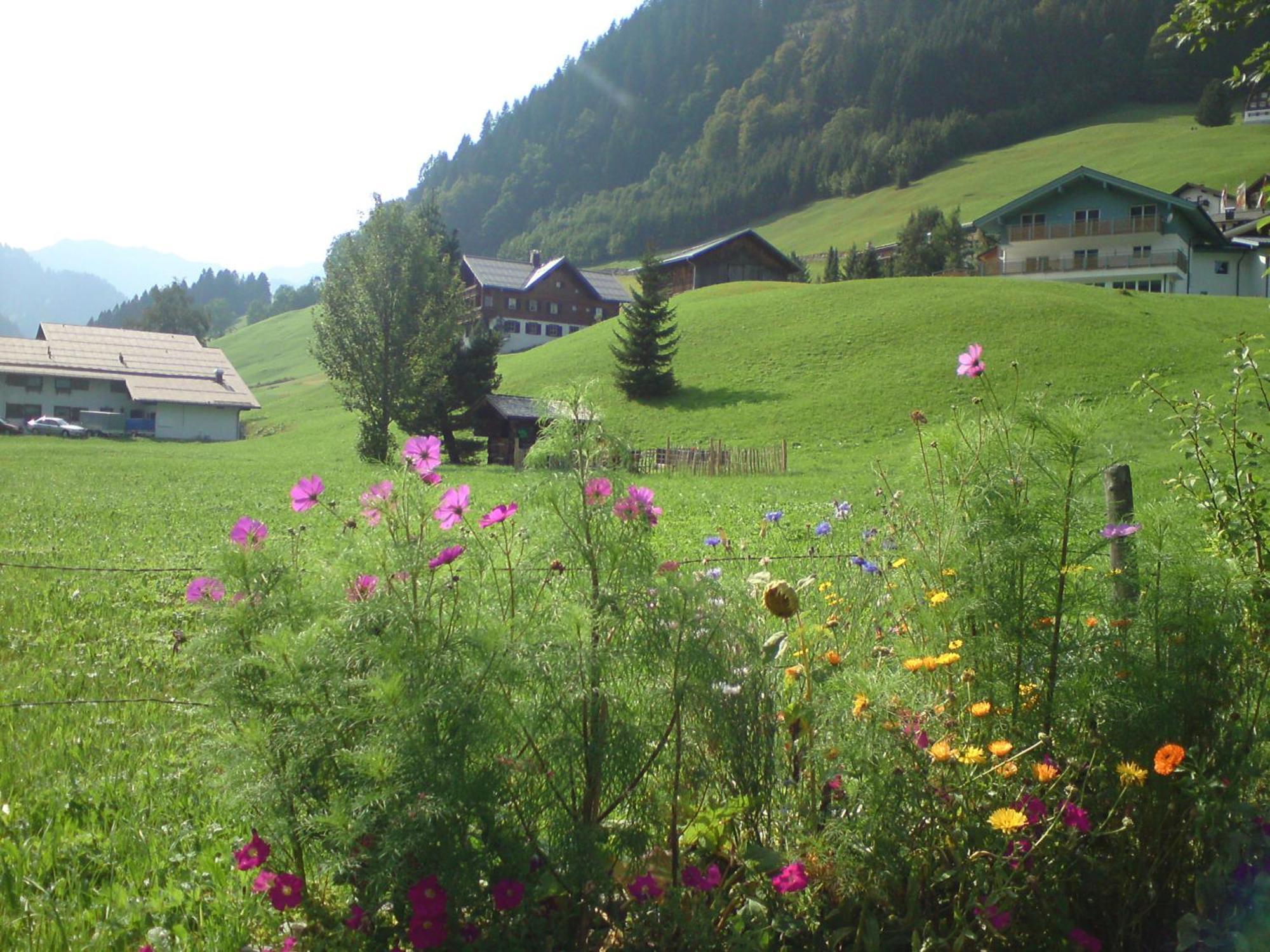 Schusterhof *