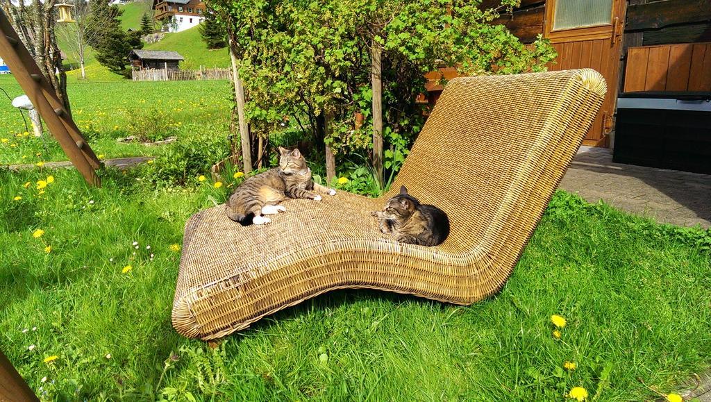 Schusterhof Farm stay Mittelberg
